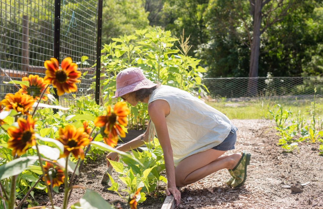 Hagearbeid + ryggsmerter = Sant?